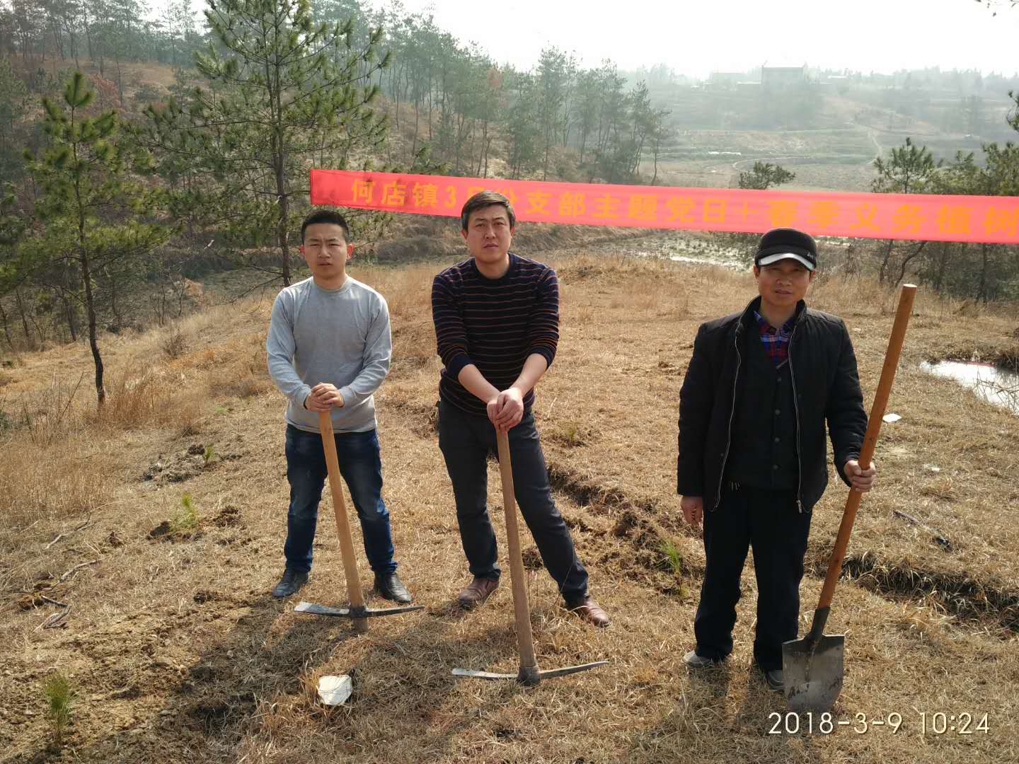 何店植树1.JPG